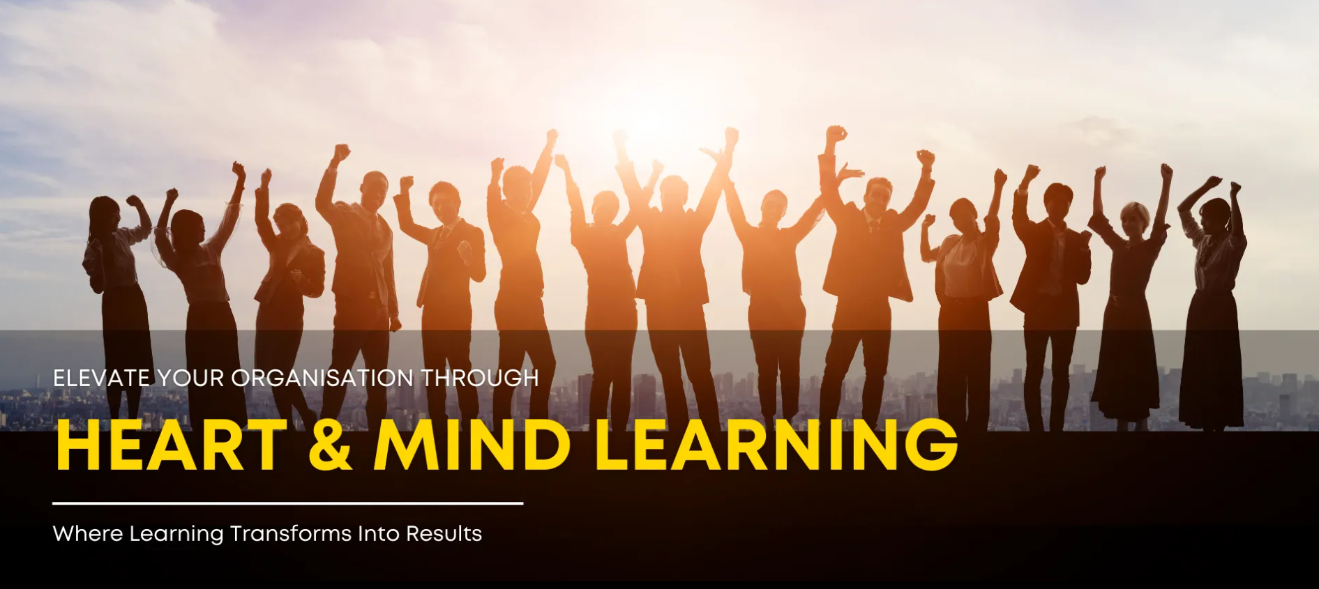 hnm learning